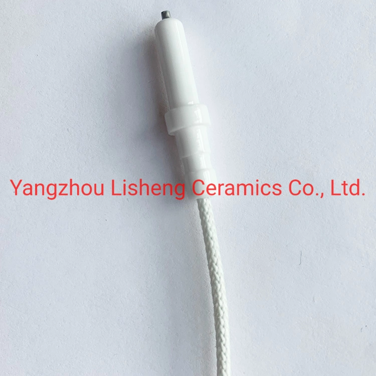 Liquefied Gas Ignition Electrode