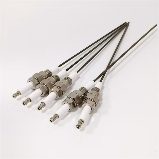 セラミック点火電極